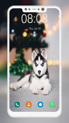 Husky Puppy Wallpapers android App screenshot 0