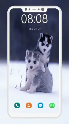 Husky Puppy Wallpapers android App screenshot 3