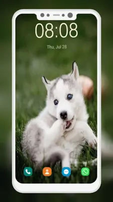 Husky Puppy Wallpapers android App screenshot 5